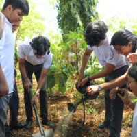 Students plant a tree in Tanzania