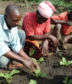 Students learn agricultural techniques at the Bilibiza Agricultural Institute in Mozambique
