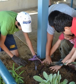 A Youth Ambassador helps the students of Barron Elementary plant a tree