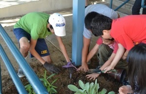 A Youth Ambassador helps the students of Barron Elementary plant a tree