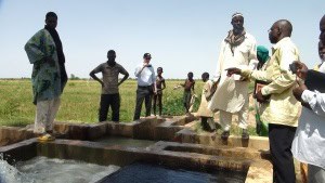 Rice cooperative leader Moctar Traoré