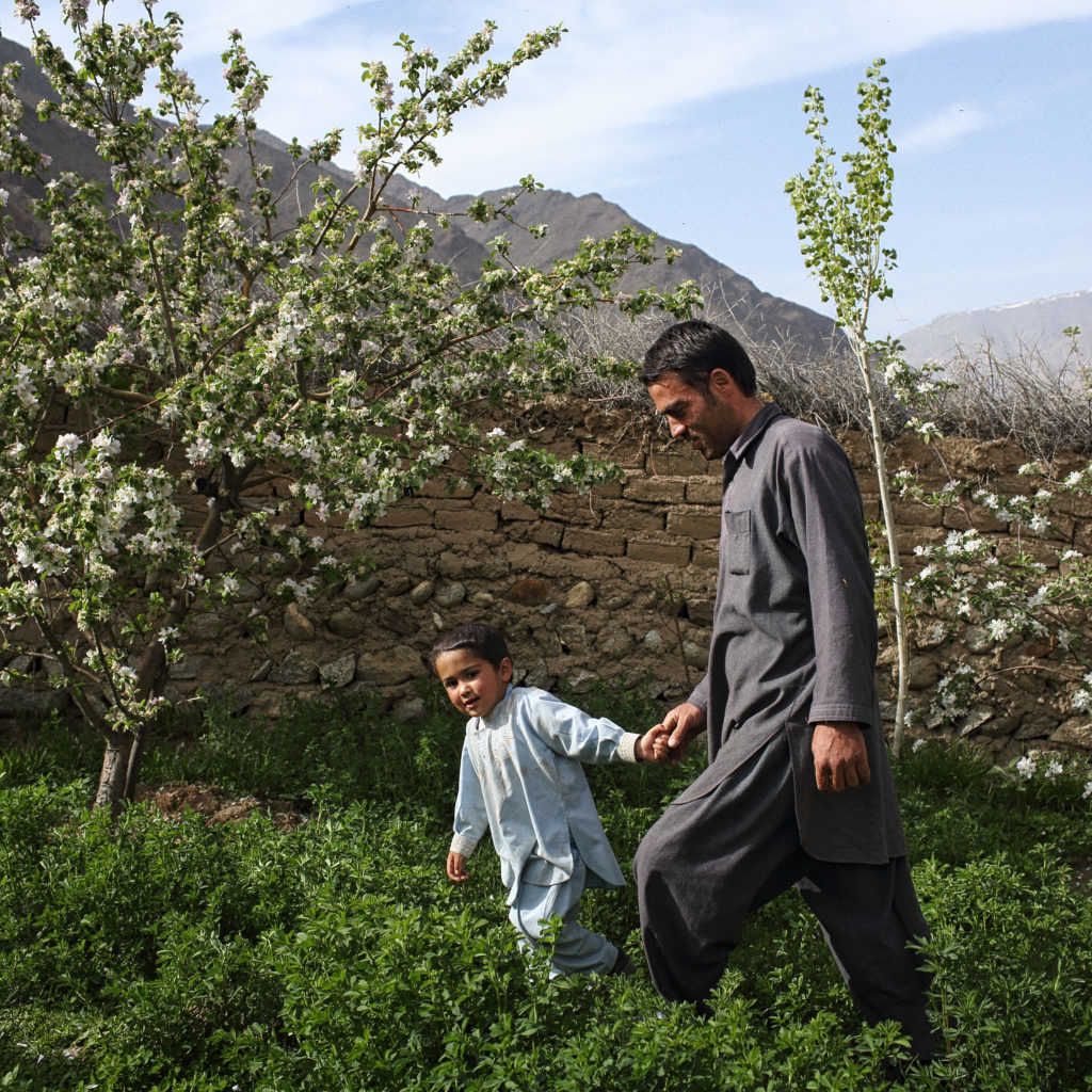 A man and child walk through an orchard with mountains in the background