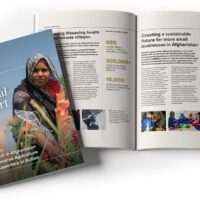 A mockup image of the 2025 Annual Report