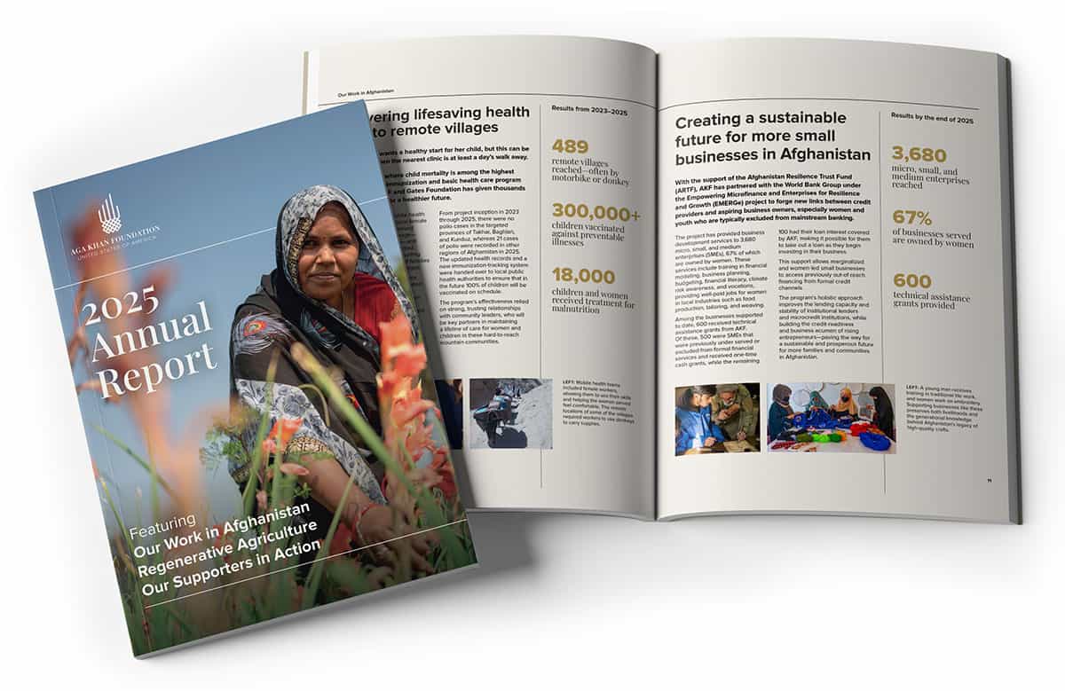 A mockup image of the 2025 Annual Report