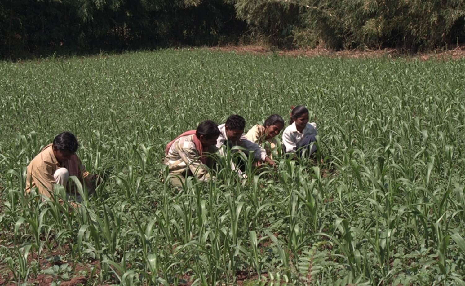 Tackling the ‘Zero Hunger Challenge’ by 2030: A Conversation with Robert Zeigler.