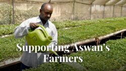 Supporting Aswan's Farmers