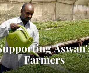 Supporting Aswan's Farmers