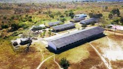 An aerial view of the poultry enterprises in Bilibiza.