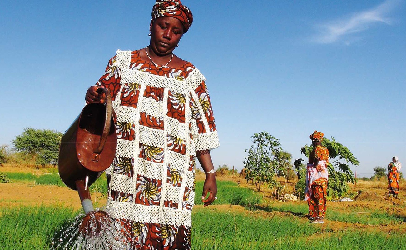 Woman farmer in Mali tending to her crops. The Aga Khan Foundation's project helps build resilience against climate change with rural farmers.
