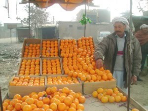 Impact Investing and the Aga Khan Development Network flyer