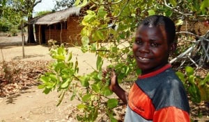 A proud cashew farmer in Mozambique