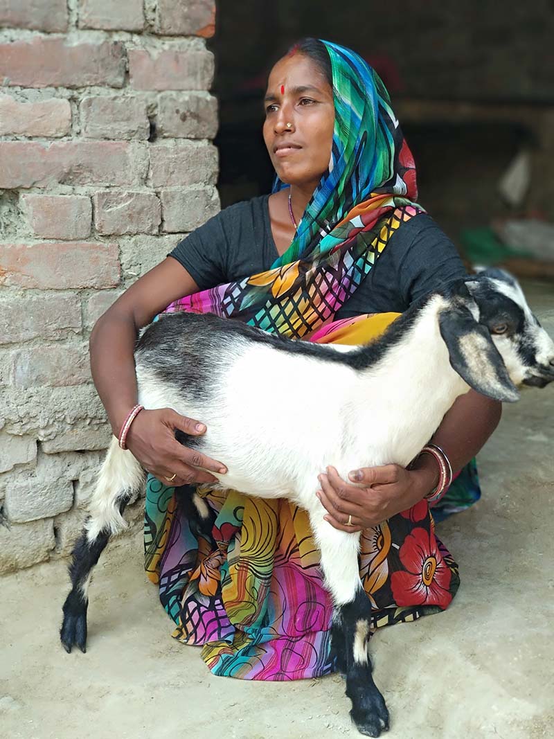 Sangeeta Didi with goat