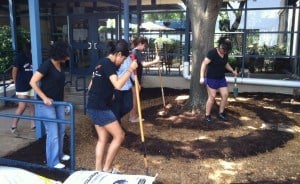 Youth Ambassadors create a popular garden