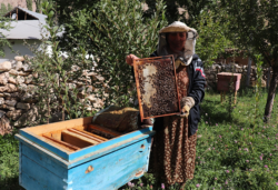 A woman wearing gloves and a beekeeper's hat holds up a screen with bees and honey.