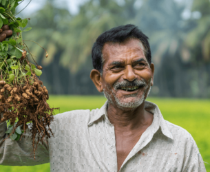 Agriculture and Food Security: A Man holds up plants showing their roots in front of a green field
